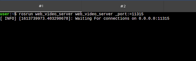 screenshot-web-video-server